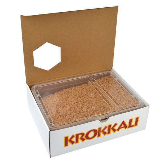 Gr 800 granella di amaretto per dolci, creme e topping decorazione pasticcini, panettoni, torte e biscotti